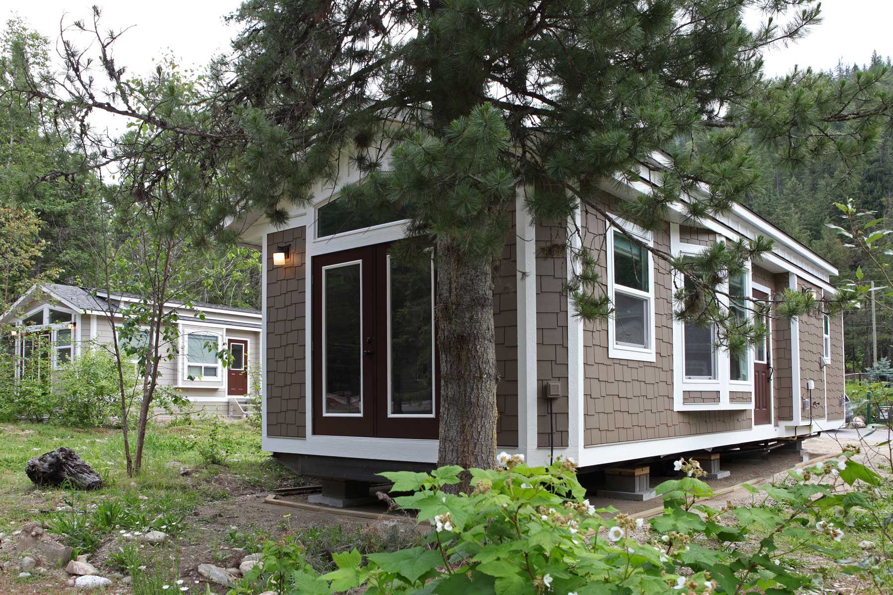 Kyllo Homes exterior hummingbird
